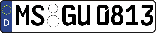 MS-GU0813