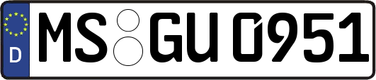 MS-GU0951