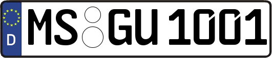 MS-GU1001