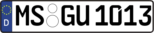 MS-GU1013