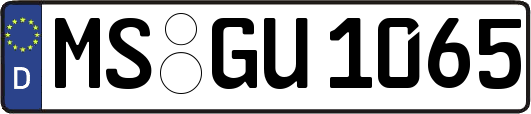 MS-GU1065