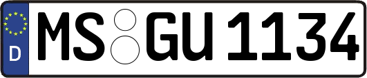 MS-GU1134