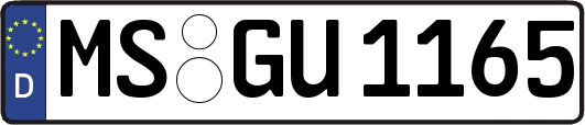 MS-GU1165