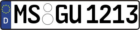 MS-GU1213