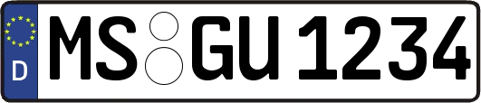 MS-GU1234