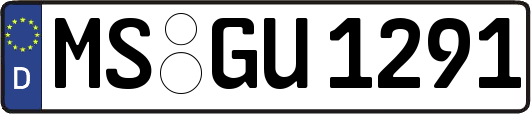MS-GU1291