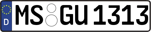 MS-GU1313