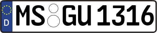 MS-GU1316