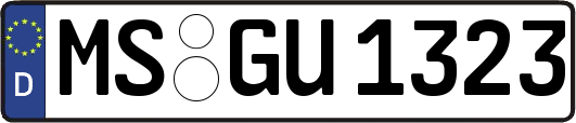 MS-GU1323