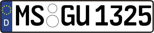 MS-GU1325