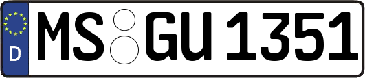 MS-GU1351