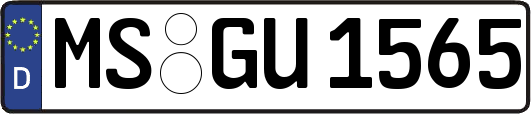 MS-GU1565