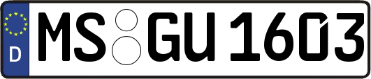 MS-GU1603