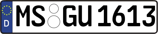 MS-GU1613
