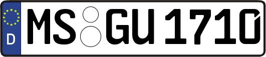 MS-GU1710