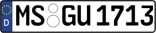 MS-GU1713