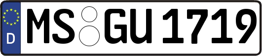 MS-GU1719
