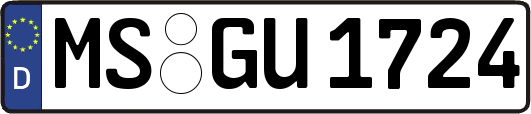 MS-GU1724