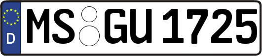 MS-GU1725