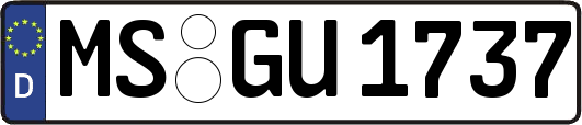 MS-GU1737