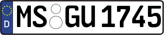 MS-GU1745