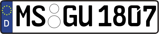 MS-GU1807