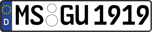 MS-GU1919