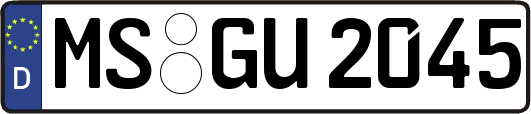 MS-GU2045