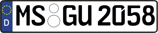 MS-GU2058