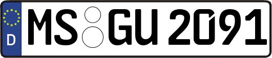 MS-GU2091