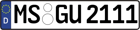 MS-GU2111