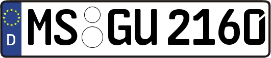 MS-GU2160