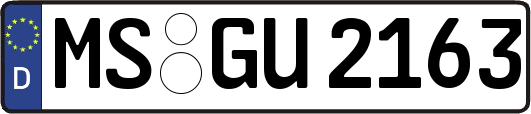 MS-GU2163