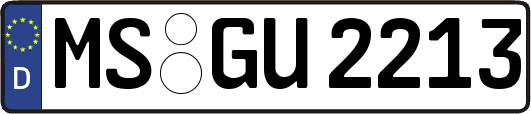 MS-GU2213