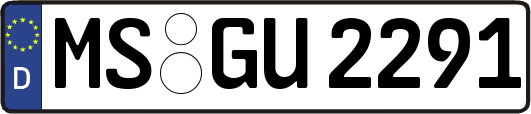 MS-GU2291