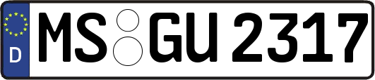 MS-GU2317