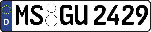 MS-GU2429