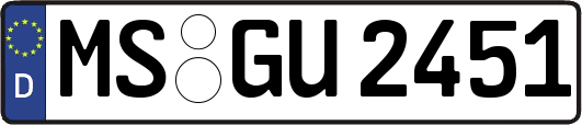 MS-GU2451