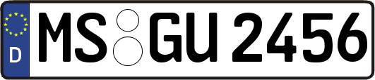 MS-GU2456