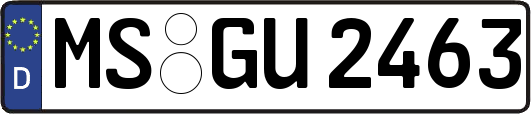 MS-GU2463