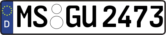 MS-GU2473