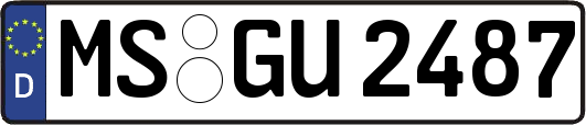 MS-GU2487