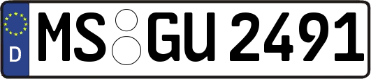 MS-GU2491