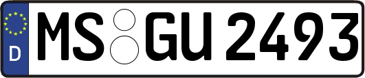 MS-GU2493