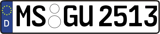 MS-GU2513
