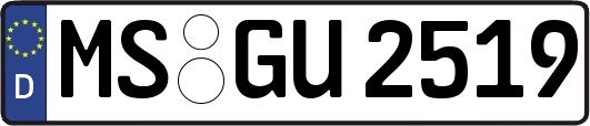 MS-GU2519