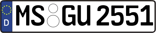 MS-GU2551