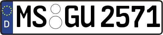 MS-GU2571