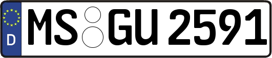 MS-GU2591