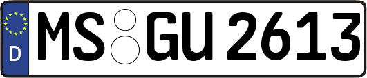 MS-GU2613